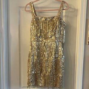 Gold Sequin Fringe Dress